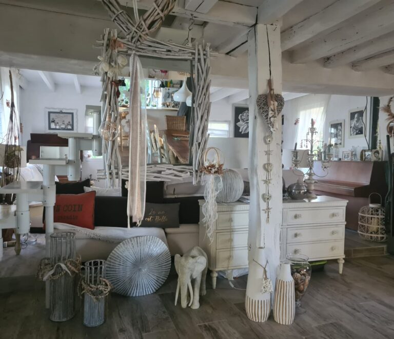 Chambres d'hotes dans maison de caractère en pierre au bord de loire Rochefort sur Loire (5)