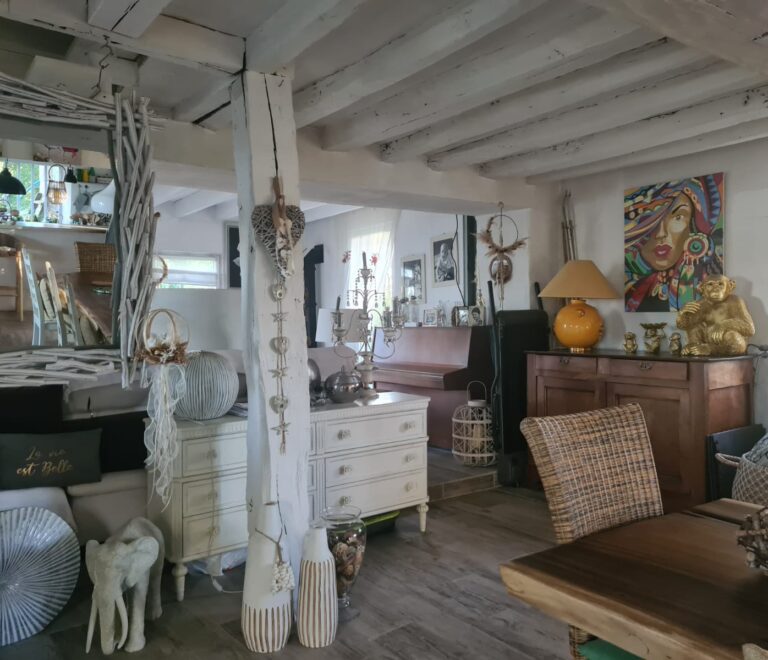 Chambres d'hotes dans maison de caractère en pierre au bord de loire Rochefort sur Loire (6)