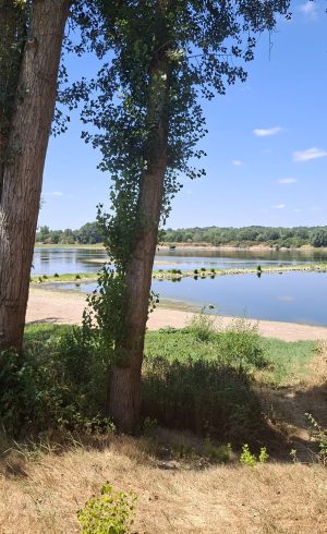 Bord de Loire vu depuis le jardin de la maison